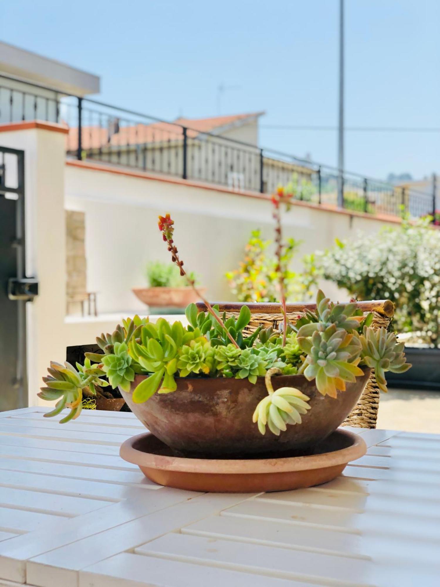 Blue Apricot Apartment Con Jacuzzi Montesilvano Marina Esterno foto