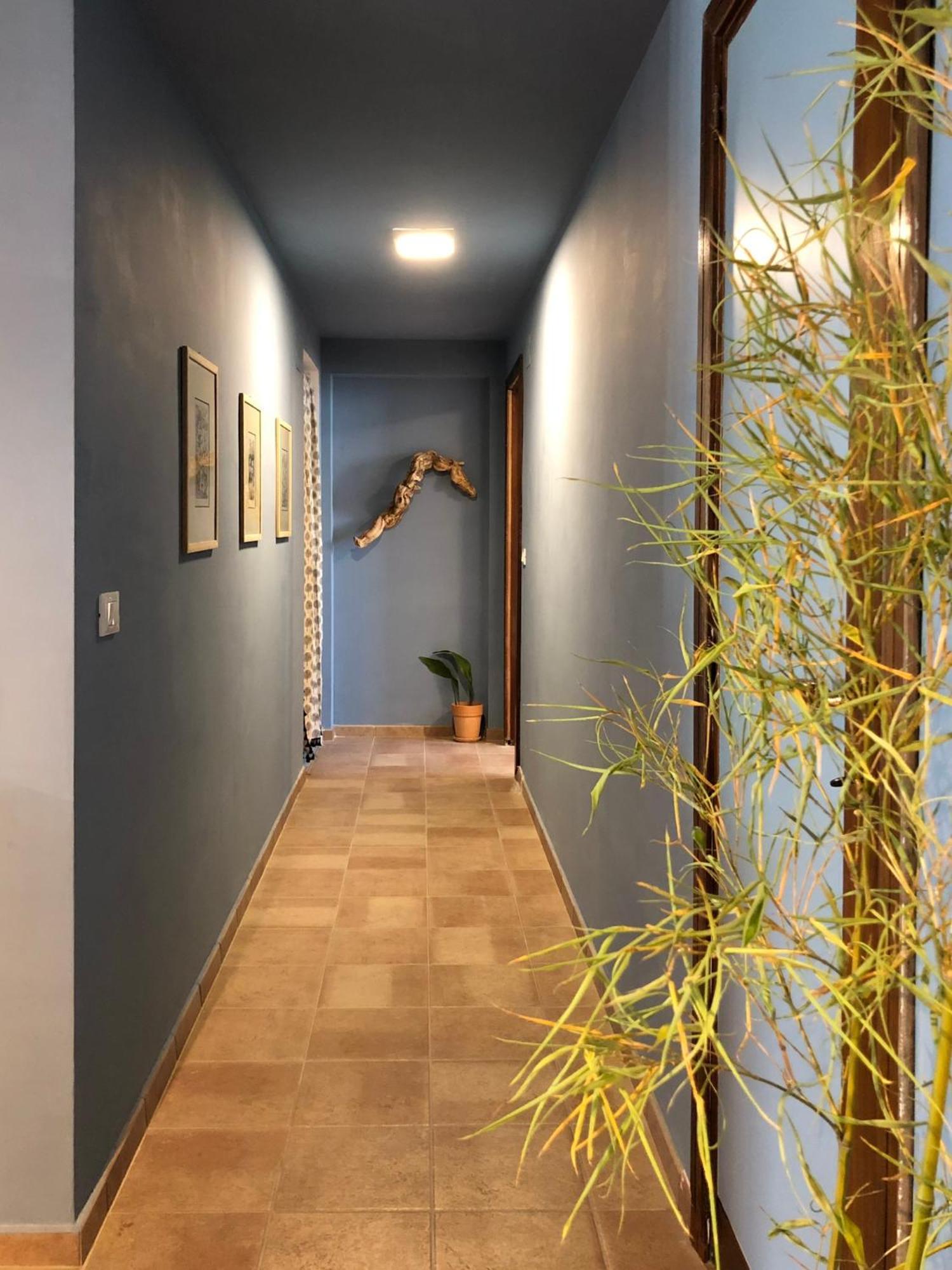 Blue Apricot Apartment Con Jacuzzi Montesilvano Marina Esterno foto
