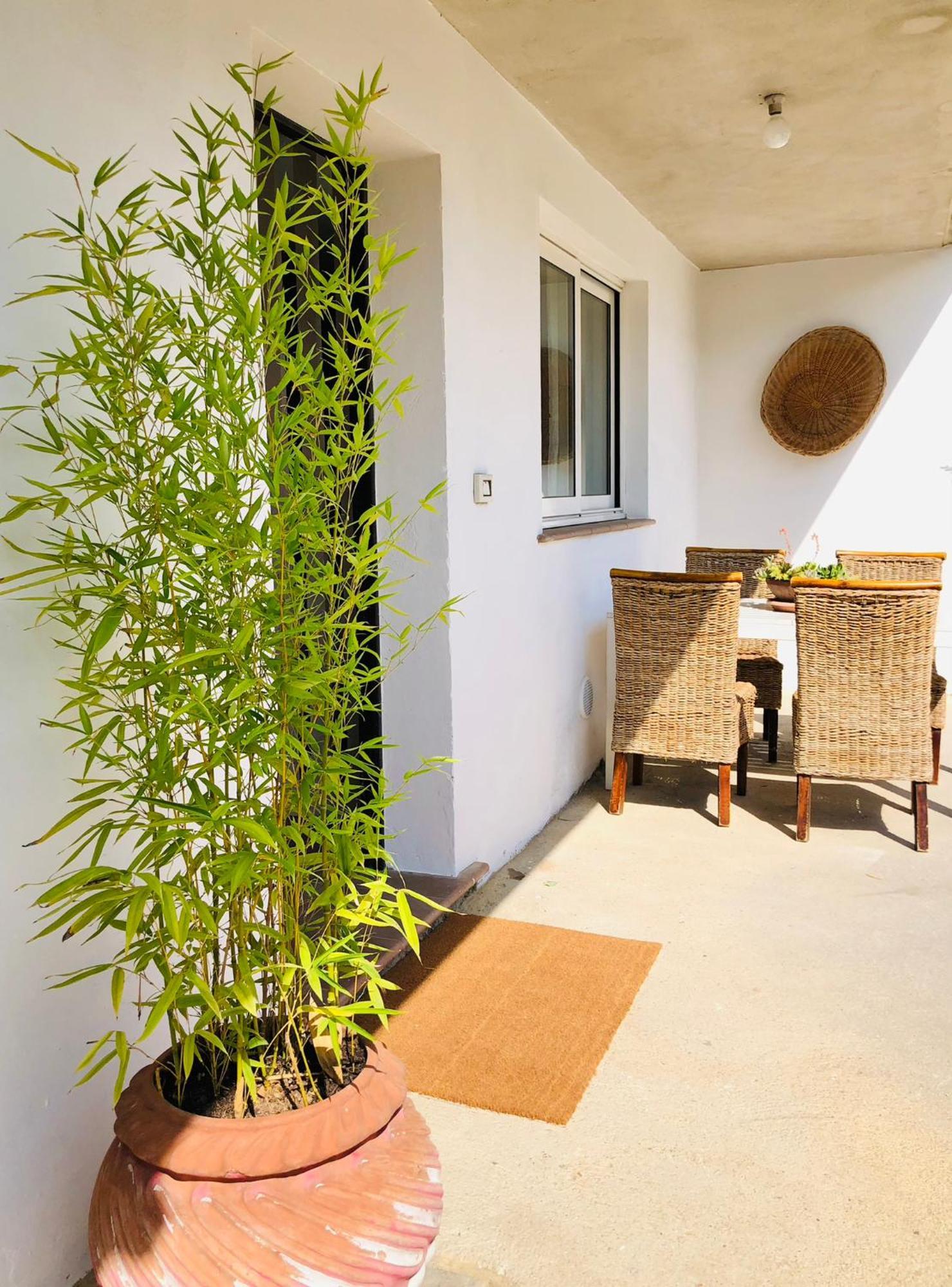 Blue Apricot Apartment Con Jacuzzi Montesilvano Marina Esterno foto
